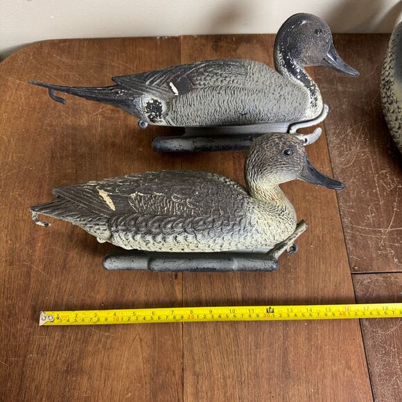 Carry Lite Duck Decoy Pintail Ducks Plastic Made In Italy 2 Hens 1 Drake - Picture 5 of 16